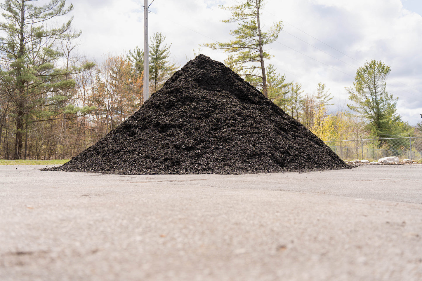 Black Mulch