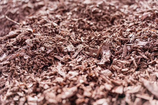 Cherry Brown Mulch